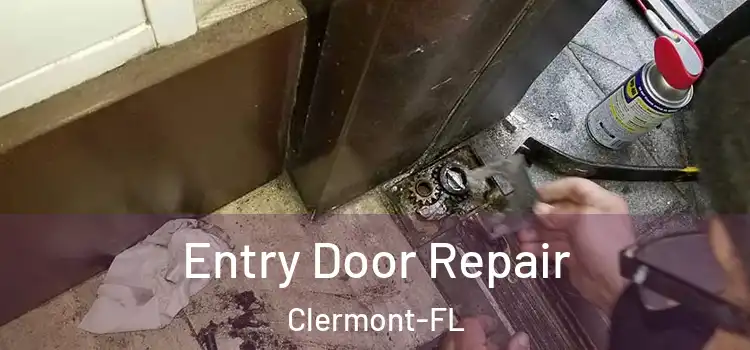  Entry Door Repair Clermont-FL